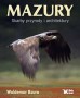 Mazury