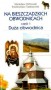 Na bieszczadzkich obwodnicach. Część 1. Duża obwodnica