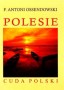 Polesie. Cuda Polski