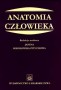 Anatomia człowieka