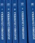 Anatomia człowieka, tom 1 - 5