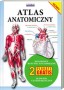 Atlas anatomiczny