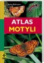 Atlas motyli