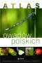 Atlas owadów polskich