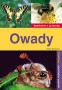 Owady