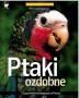 Ptaki ozdobne. Minileksykon
